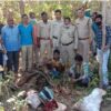 सांभर का करंट देकर शिकार, 4 ग्रामीण गिरफ्तार