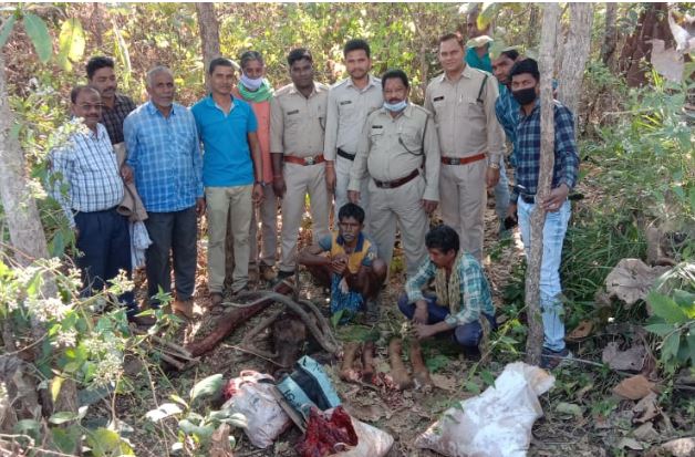 सांभर का करंट देकर शिकार, 4 ग्रामीण गिरफ्तार