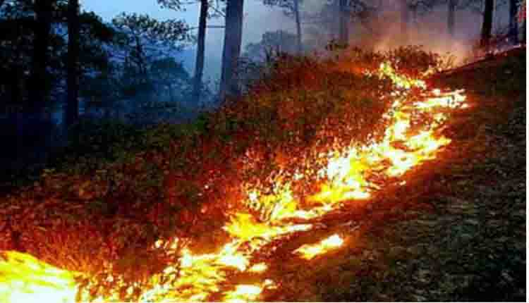 देवपुर के जंगल में आग, वन अमला नदारत
