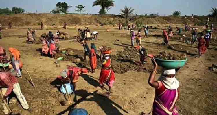 मनरेगा मजदूरों का पात्र और गैर पात्रों में विभाजन अवैध और मनरेगा कानून पर हमला : किसान सभा