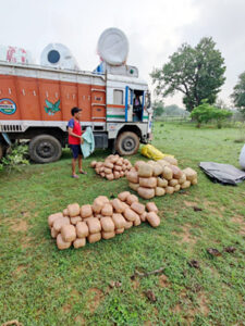 ओडिशा से दाखिल बंगाल की ट्रक से 50 लाख का गांजा बरामद