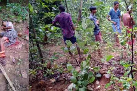 सरगुजा: उदयपुर वन परिक्षेत्र में भालूओं के हमले में मनरेगा मजदूर की मौत, देखें वीडियो