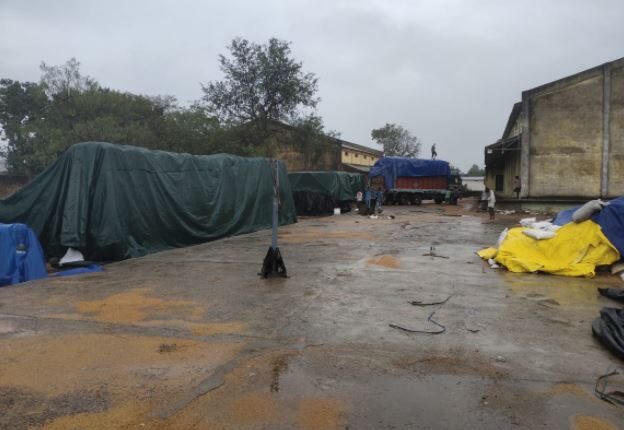 धान भींगने पर 6 कलेक्टरों और अधिकारियों को नोटिस जारी होगी 