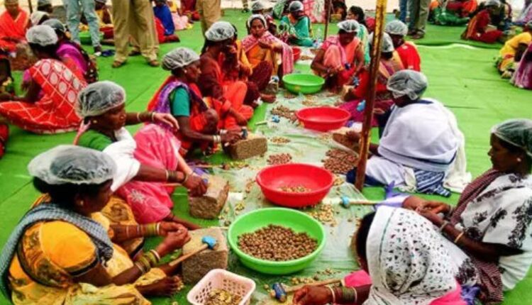 प्रधानमंत्री सूक्ष्म खाद्य उन्नयन योजना में गरियाबंद का चयन