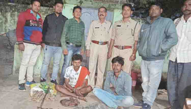 जंगली सुअर का करंट से शिकार ,2 शिकारी गिरफ्तार