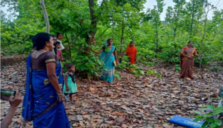 विश्व पृथ्वी दिवस पर उदयपुर जजगी में महिलाओं ने पेड़ों में रक्षासूत्र बांधा