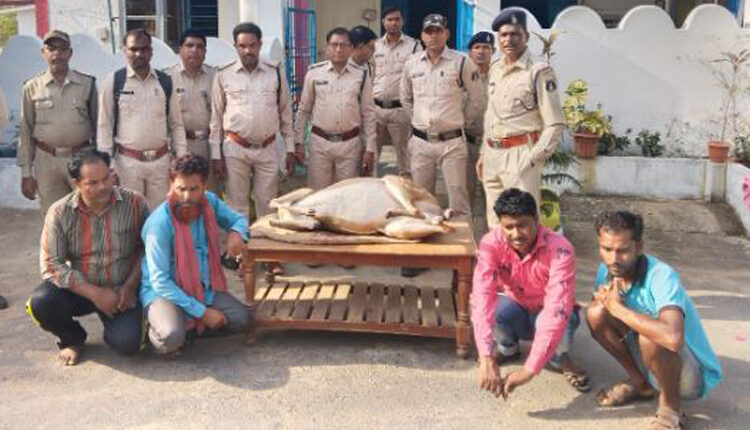 Cheetal hunt, 4 arrested