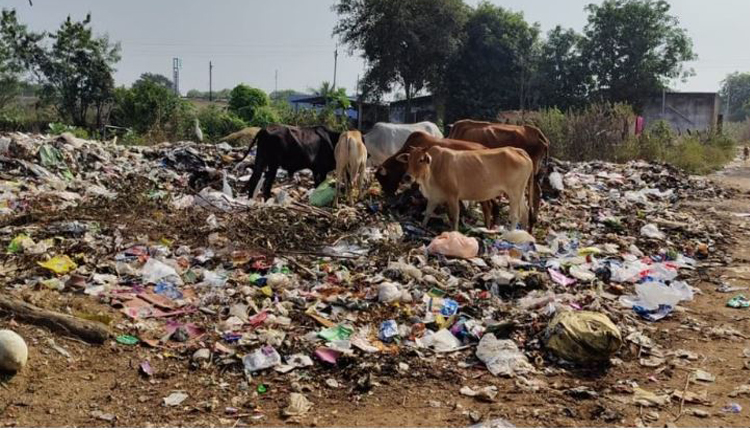 कचरे-गंदगी के ढेर पर बसना नगर पंचायत को स्वच्छता पुरस्कार
