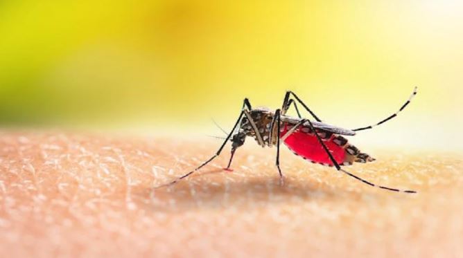 छत्तीसगढ़ में 4 वर्षों में मलेरिया में 79 फीसदी कमी