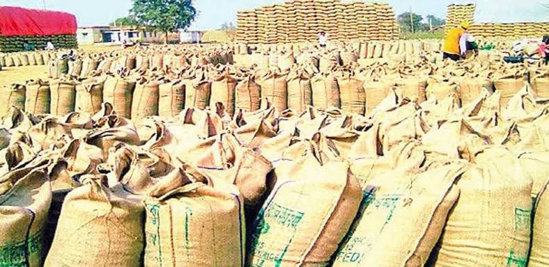 छत्तीसगढ़: तीन दिन में धान खरीदी का आंकड़ा 3 लाख टन पार