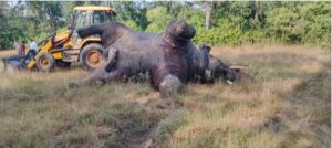 हाथी की करंट से मौत के बाद सात गांवों में रात 8 बजे से बिजली लापता
