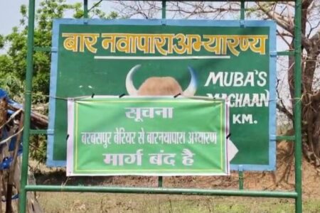 बाघ के पीछे पड़े वन विभाग को अनायास हाथ लगे शिकारी!