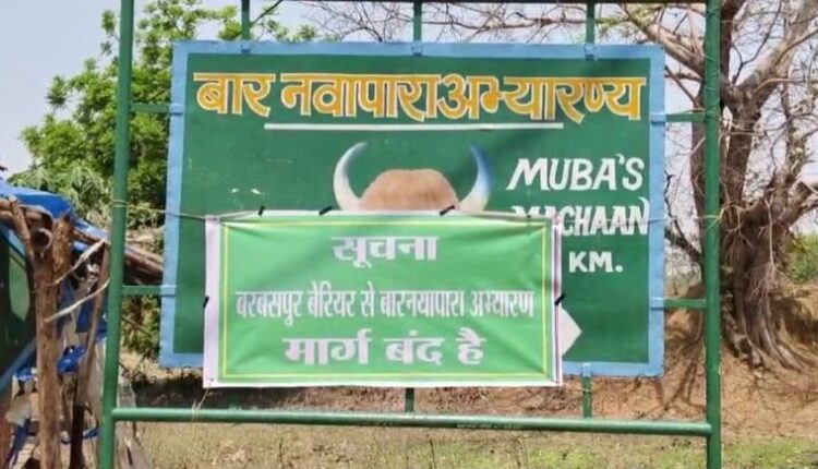 बड़ी कामयाबी बताने वाले बाघ के पीछे पड़े वन विभाग को अनायास हाथ लगे शिकारी