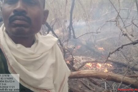 देवपुर वन परिक्षेत्र के जंगल में लगी आग, खतरे में वन्य जीव ,लाखों की वन संपदा राख