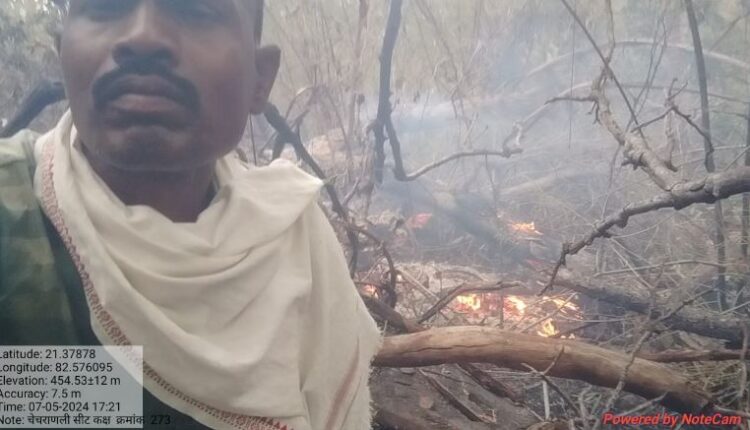 देवपुर वन परिक्षेत्र के जंगल में लगी आग, खतरे में वन्य जीव ,लाखों की वन संपदा राख