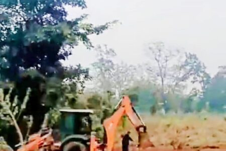 मंदिर के लिए उजड़ रहा जंगल, सोशल मीडिया पर भारी विरोध